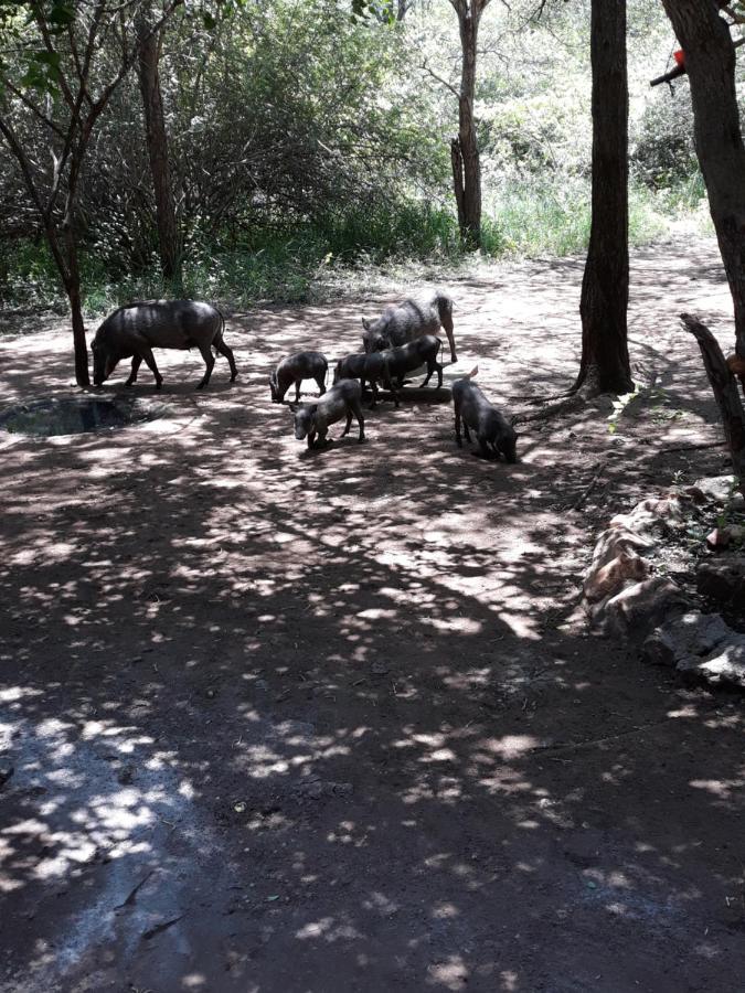 African Sky Marloth Park Dış mekan fotoğraf