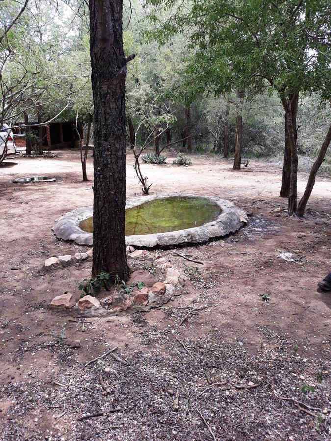 African Sky Marloth Park Dış mekan fotoğraf