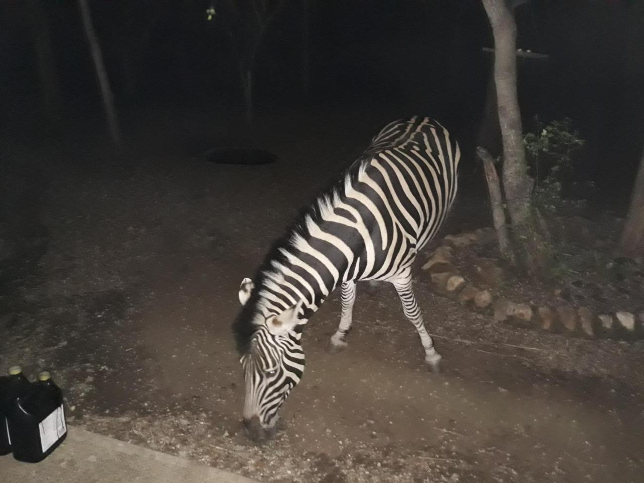 African Sky Marloth Park Dış mekan fotoğraf